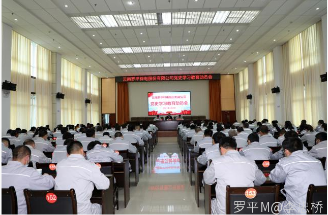 大发体育手机在线登入,大发(中国)召开党史学习教育动员会